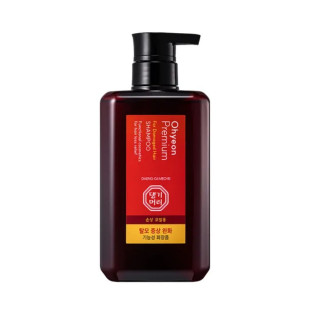 Премиум шампунь для поврежденных волос DAENG GI MEO RI Scalp shampoo(damaged type) 500ml