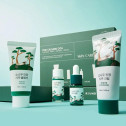 Набір засобів з екстрактом голок сосни Round Lab Pine Calming Cica Trial Kit(30ml +20ml +10ml +20ml), фото 5