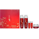 Набір із екстрактом червоного женьшеню Daandan Bit Premium Red Ginseng 3 Set, фото 3