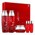 Набір із екстрактом червоного женьшеню Daandan Bit Premium Red Ginseng 3 Set, фото 4