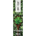 Зубна паста Median Green Tea Energy Toothpaste 120g, фото 2