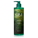 Шампунь Органический Esthetic House CP-1 Daily Moisture Shampoo 500ml, фото 2