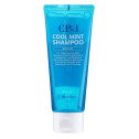 Шампунь для волос освежающий с ментолом ESTHETIC HOUSE CP-1 Cool Mint Shampoo Head Spa 100ml, фото 2