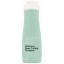 Шампунь освіжаючий для жирної шкіри голови  DAENG GI MEO RI  LOOK AT HAIR LOSS Minticcino Deep Cooling Shampoo 500ml, фото 2