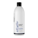 Шампунь Сріблястий анти-жовтий ефект Profi style 500ml, фото 2