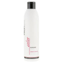 Бальзам "Захист кольору" для фарбованого волосся Profi style 250ml, фото 2