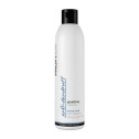 Шампунь проти лупи для всіх типів волосся Profi Style Anti-Dandruff Shampoo, 250 ml, фото 2