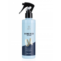 Термозащитный спрей для волос Bogenia Amino Acids Hair Spray 250ml, фото 2