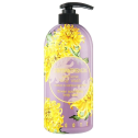 Гель для душа парфюмированный Хризантема Jigott Chrysanthemum Perfume Body Wash 750ml, фото 2