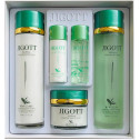 Набор для ухода за лицом с экстрактом зеленого чая Jigott Well-being Green Tea Skin Care 3Set 410 ml, фото 3
