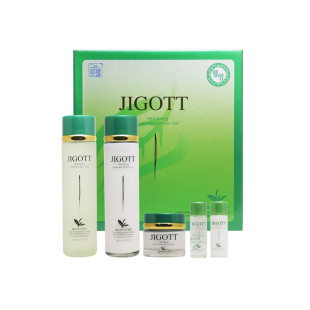 Набор для ухода за лицом с экстрактом зеленого чая Jigott Well-being Green Tea Skin Care 3Set 410 ml