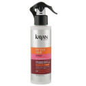 Спрей-термозахист для фарбованого волосся Kayan Professional BB Silk Hair Spray 200ml, фото 2