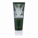 Легкий зволожуючий крем із екстрактом хауттюйнії Derma Factory Houttuynia Cordata 71% Cream 60g, фото 2